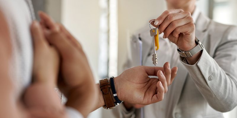 Pronájem nemovitosti